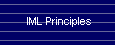 IML Top Ten Principles
